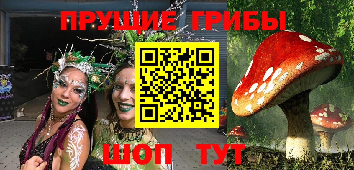 купить   Псилоцибиновые грибы Psilocybe  Вход с VPN  Ростов-на-Дону 