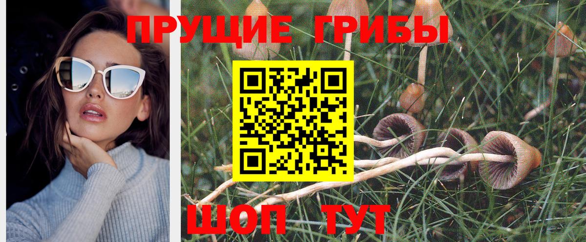 Псилоцибиновые грибы GOLDEN TEACHER Ростов-на-Дону